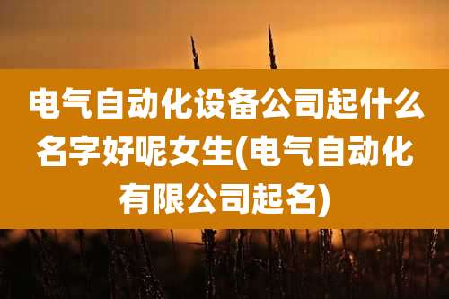 电气自动化设备公司起什么名字好呢女生(电气自动化有限公司起名)
