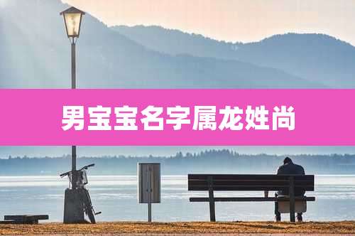男宝宝名字属龙姓尚