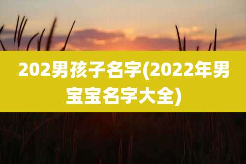 202男孩子名字(2022年男宝宝名字大全)