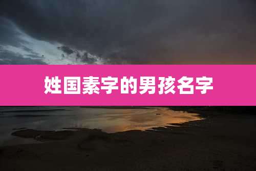 姓国素字的男孩名字