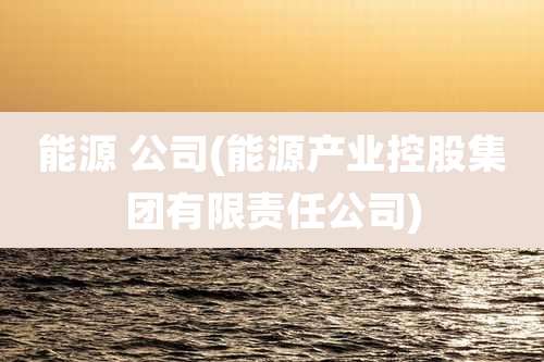 能源 公司(能源产业控股集团有限责任公司)