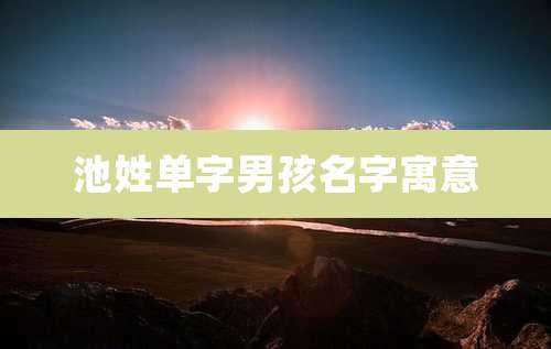 池姓单字男孩名字寓意