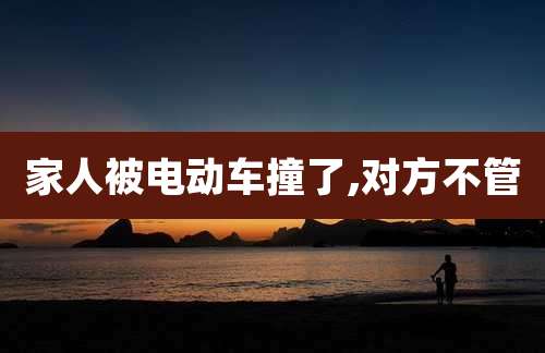 家人被电动车撞了,对方不管