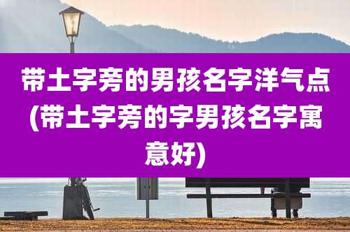 带土字旁的男孩名字洋气点(带土字旁的字男孩名字寓意好)