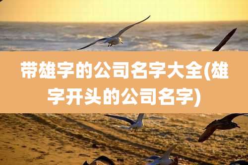 带雄字的公司名字大全(雄字开头的公司名字)