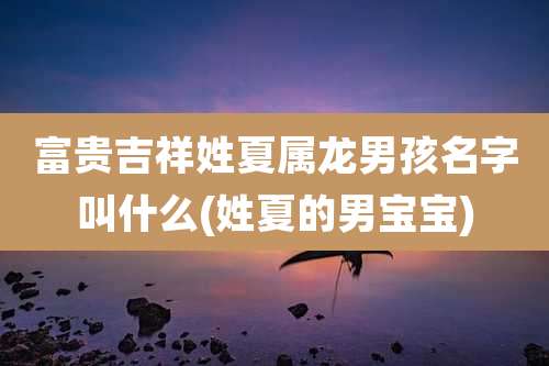 富贵吉祥姓夏属龙男孩名字叫什么(姓夏的男宝宝)