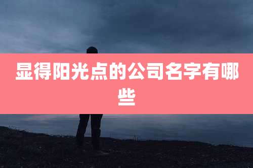 显得阳光点的公司名字有哪些