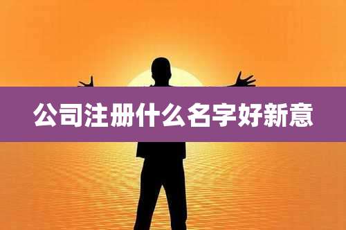 公司注册什么名字好新意