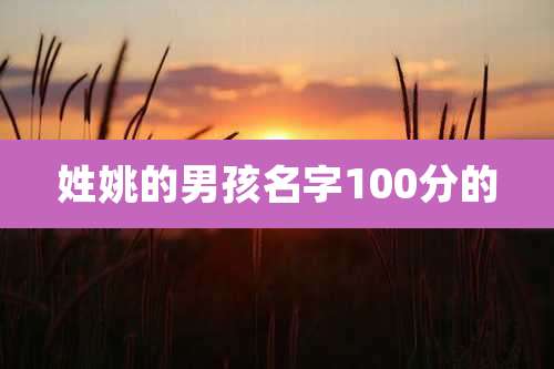姓姚的男孩名字100分的