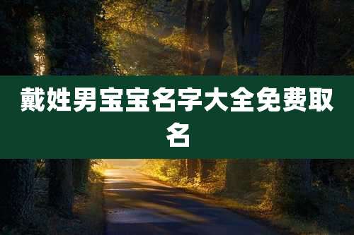 戴姓男宝宝名字大全免费取名