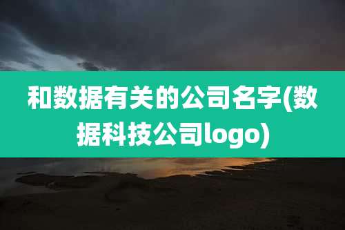 和数据有关的公司名字(数据科技公司logo)