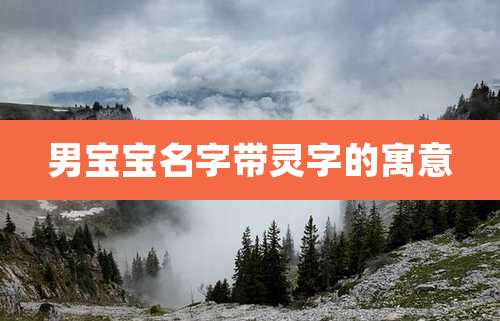 男宝宝名字带灵字的寓意