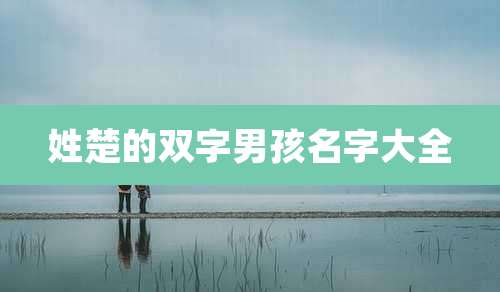 姓楚的双字男孩名字大全