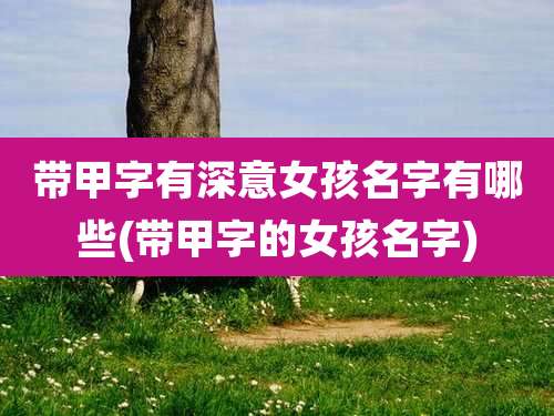 带甲字有深意女孩名字有哪些(带甲字的女孩名字)