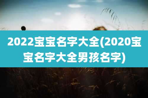 2022宝宝名字大全(2020宝宝名字大全男孩名字)