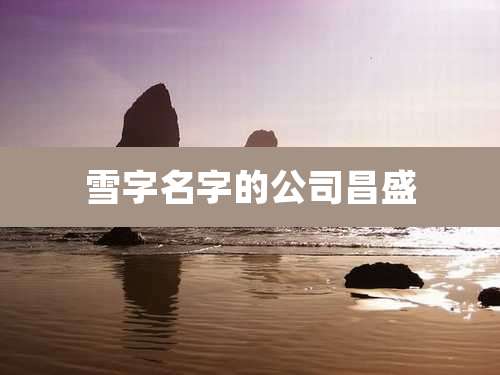 雪字名字的公司昌盛