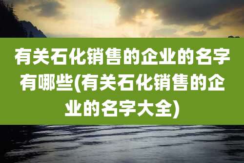 有关石化销售的企业的名字有哪些(有关石化销售的企业的名字大全)