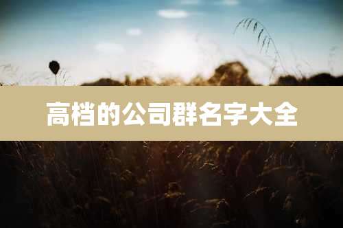 高档的公司群名字大全