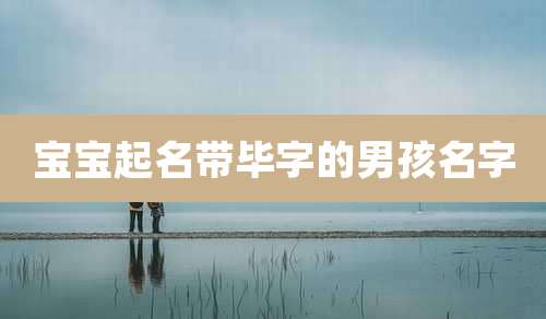 宝宝起名带毕字的男孩名字