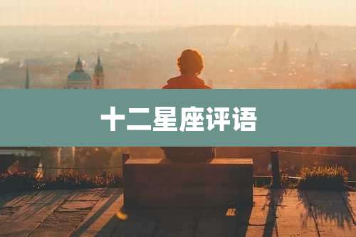 十二星座评语