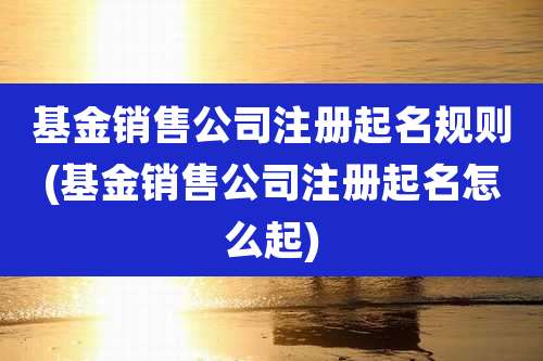 基金销售公司注册起名规则(基金销售公司注册起名怎么起)