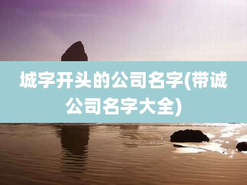 城字开头的公司名字(带诚公司名字大全)