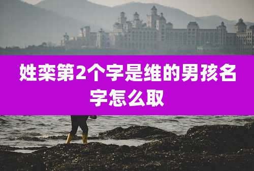 姓栾第2个字是维的男孩名字怎么取