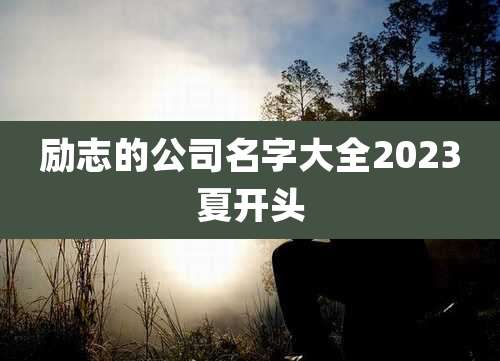 励志的公司名字大全2023夏开头