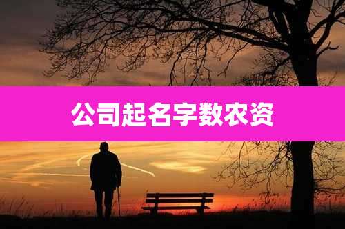 公司起名字数农资
