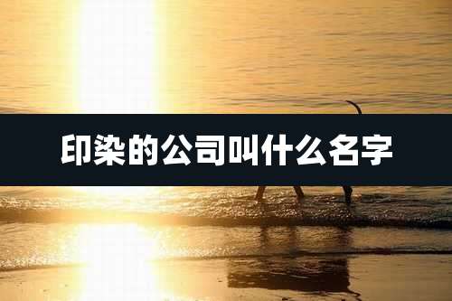 印染的公司叫什么名字