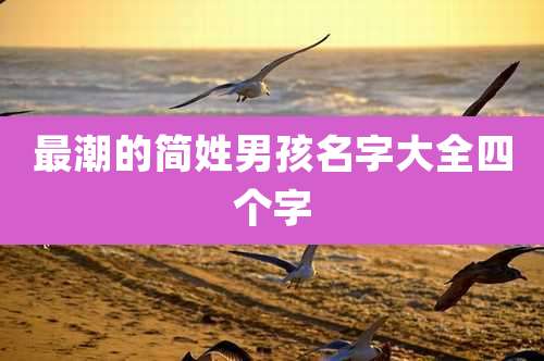 最潮的简姓男孩名字大全四个字