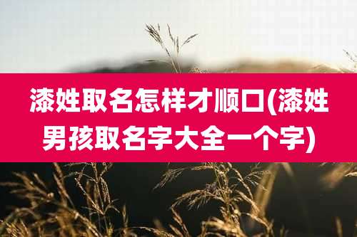 漆姓取名怎样才顺口(漆姓男孩取名字大全一个字)