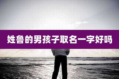 姓鲁的男孩子取名一字好吗