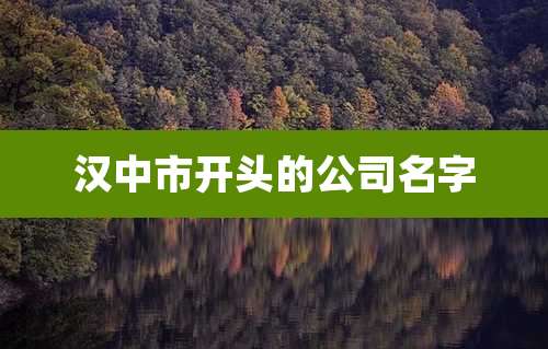 汉中市开头的公司名字