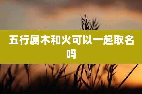 五行属木和火可以一起取名吗
