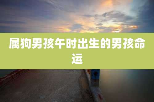 属狗男孩午时出生的男孩命运