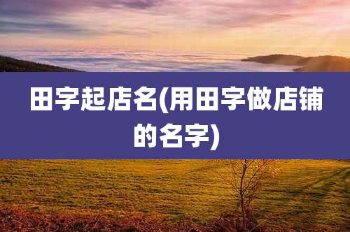 田字起店名(用田字做店铺的名字)