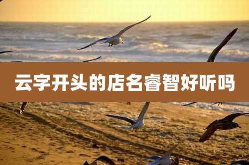 云字开头的店名睿智好听吗