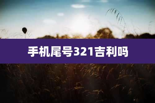 手机尾号321吉利吗