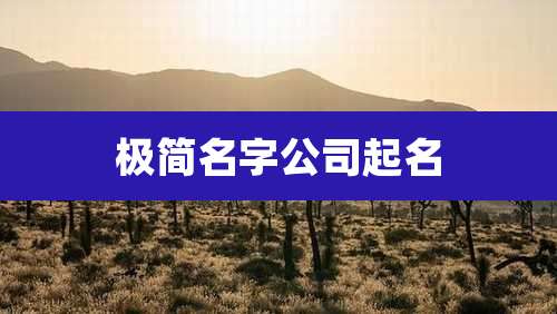 极简名字公司起名