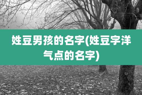 姓豆男孩的名字(姓豆字洋气点的名字)