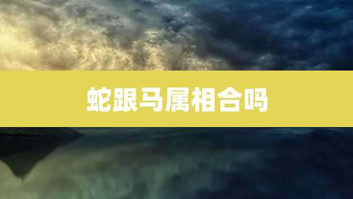 蛇跟马属相合吗
