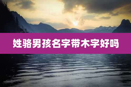 姓骆男孩名字带木字好吗