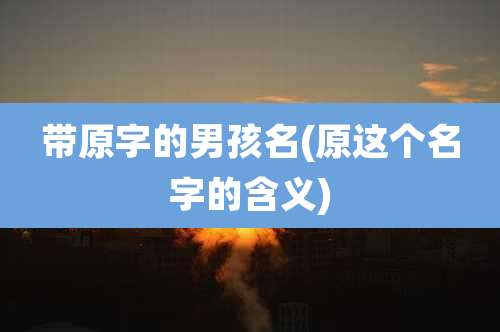 带原字的男孩名(原这个名字的含义)