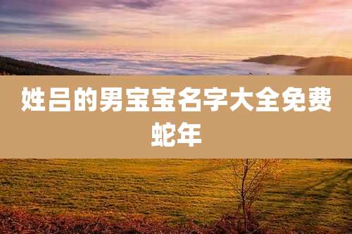 姓吕的男宝宝名字大全免费蛇年