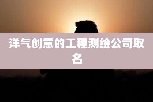 洋气创意的工程测绘公司取名