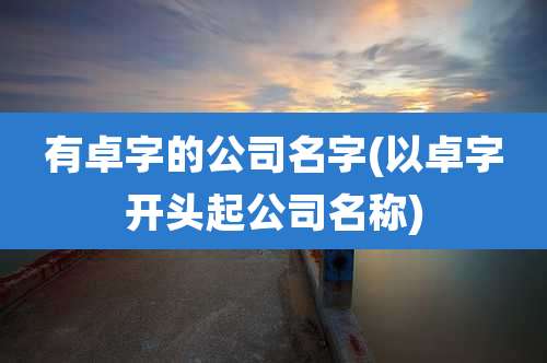 有卓字的公司名字(以卓字开头起公司名称)