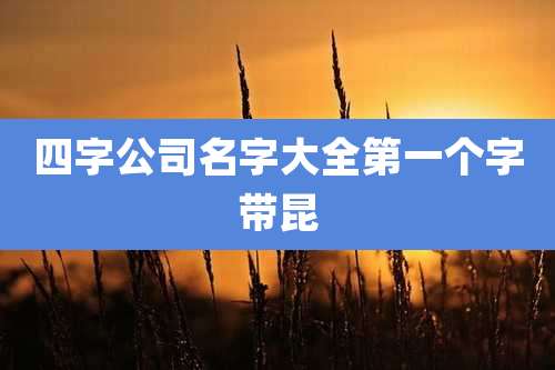 四字公司名字大全第一个字带昆