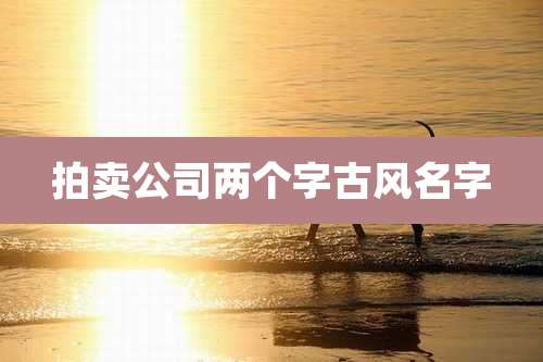 拍卖公司两个字古风名字