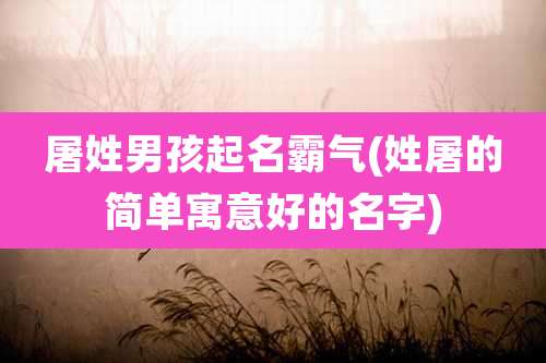 屠姓男孩起名霸气(姓屠的简单寓意好的名字)